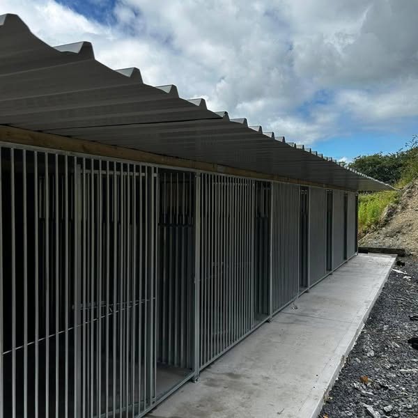 The covered outdoor runs