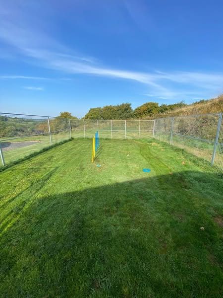 The grass paddock on a sunny day